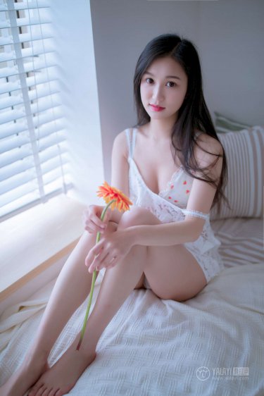 双双燕